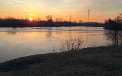 G&G Brothers Koi1 Összfogásos 2025.06.22-06.24