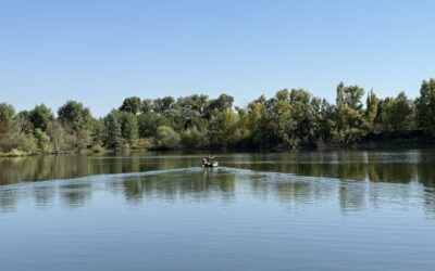 2025.09.04-09.07 Koi2 Szuperkupa Top5